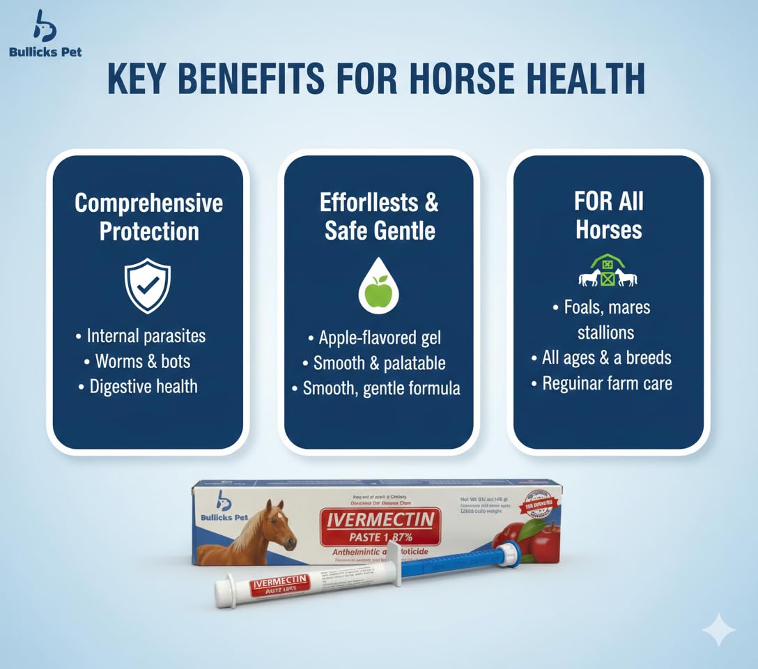 Stable care scene with Bullicks Pet paste in routine equine care.