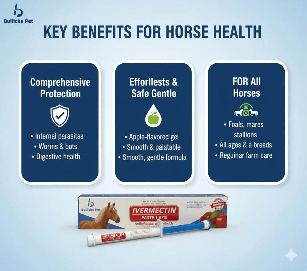 Stable care scene with Bullicks Pet paste in routine equine care.