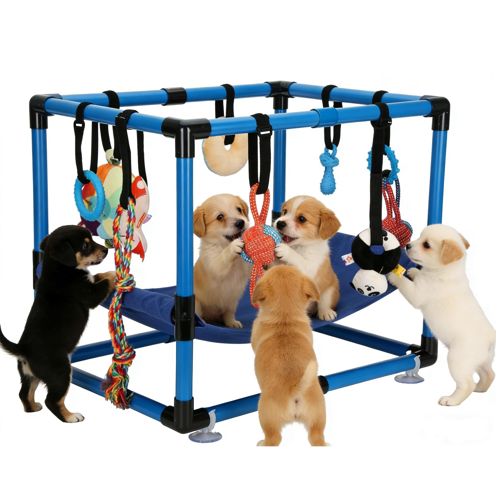 Bullro Blue Puppy Play Gym being assembled for quick setup.