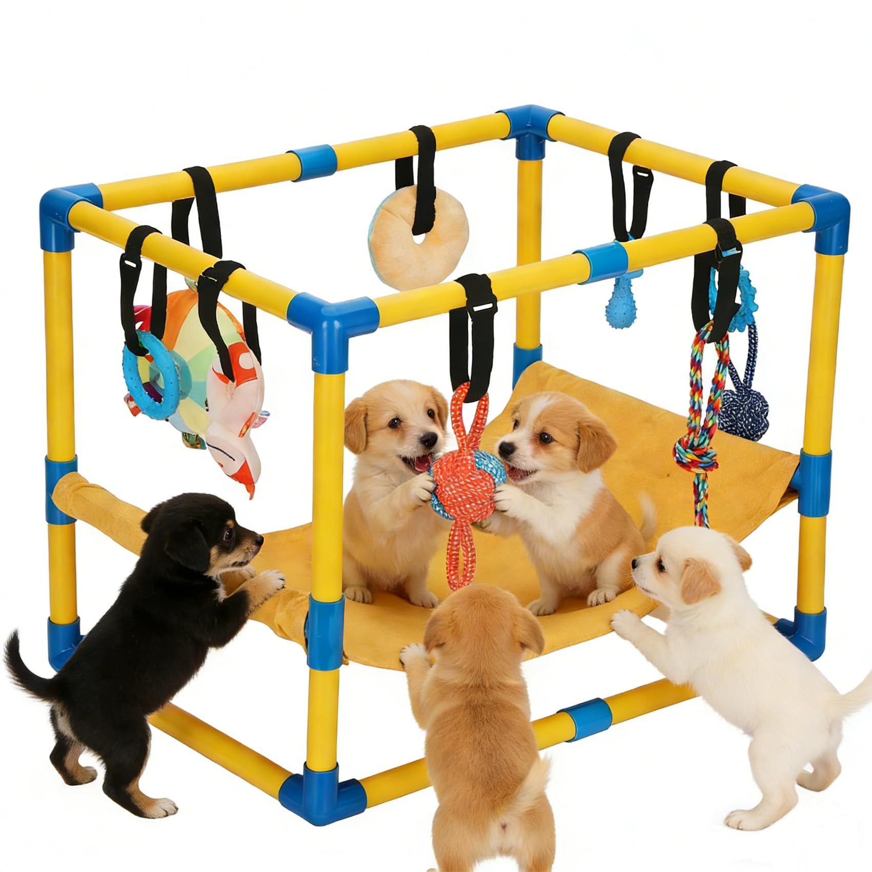 Bullro Puppy Play Gym overview showing indoor enrichment for curious puppies