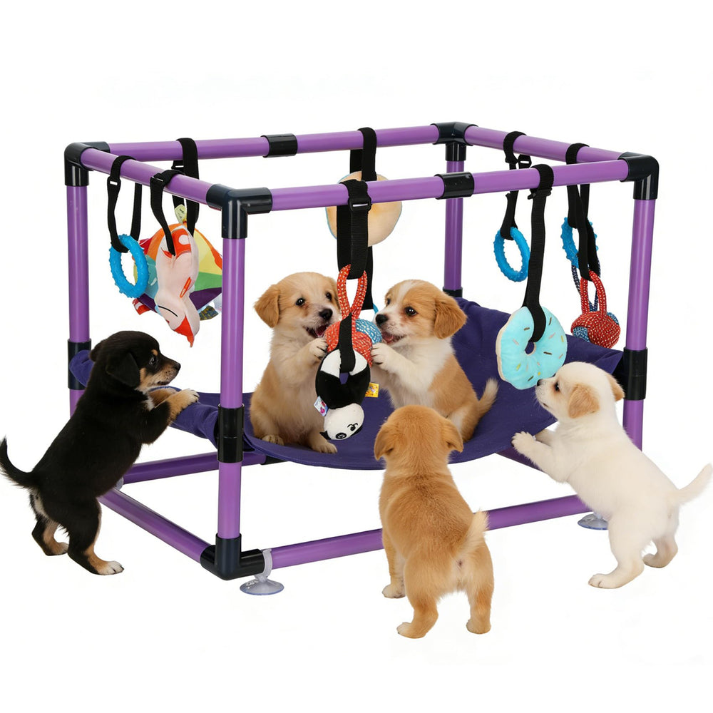 Bullro Purple Puppy Play Gym assembly demonstrates quick setup for safe indoor play