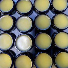 Bully Balm paw-care showing moisture protection for dry paws.
