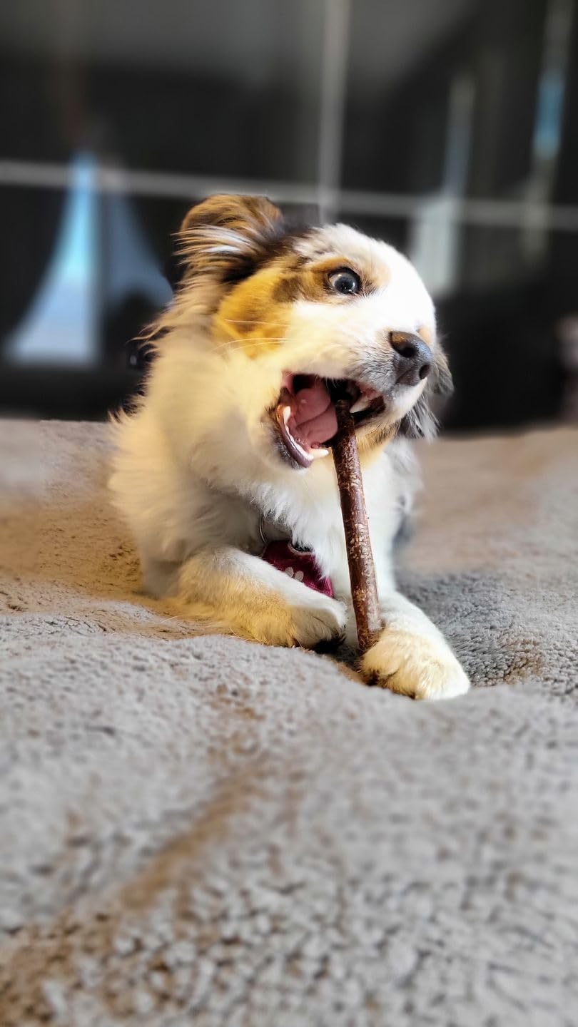 Bully Bunches all-natural, digestible chew option for curious chewers.