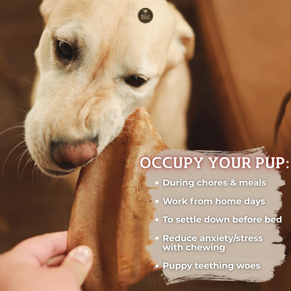 Bully Bunches free-range grass-fed sourcing shown for ethical, quality chews.