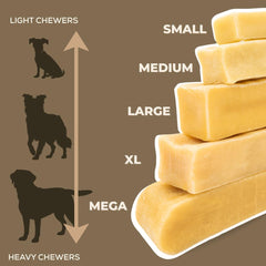 Bully Bunches dog-chewing action demonstrates a durable, long-lasting Himalayan chew.