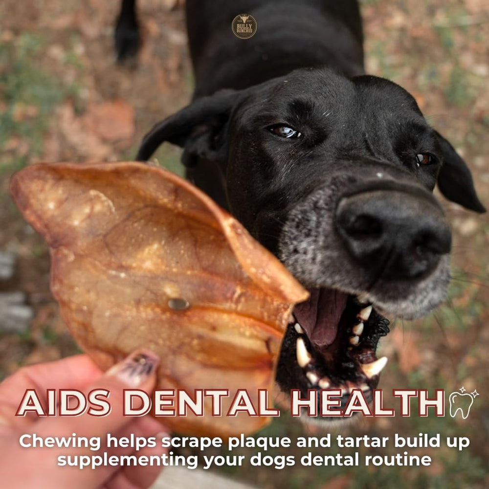 Bully Bunches low-odour ears offer a mild scent during chewing.