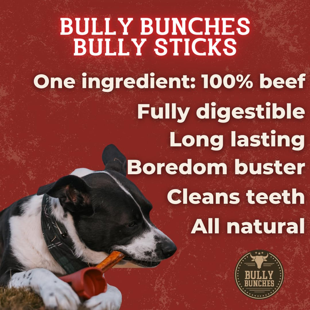 Bully Bunches Premium 6inch 100% beef, single-ingredient chew.