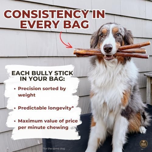 Bully Bunches Premium puppy chew close-up, natural beef texture visible.