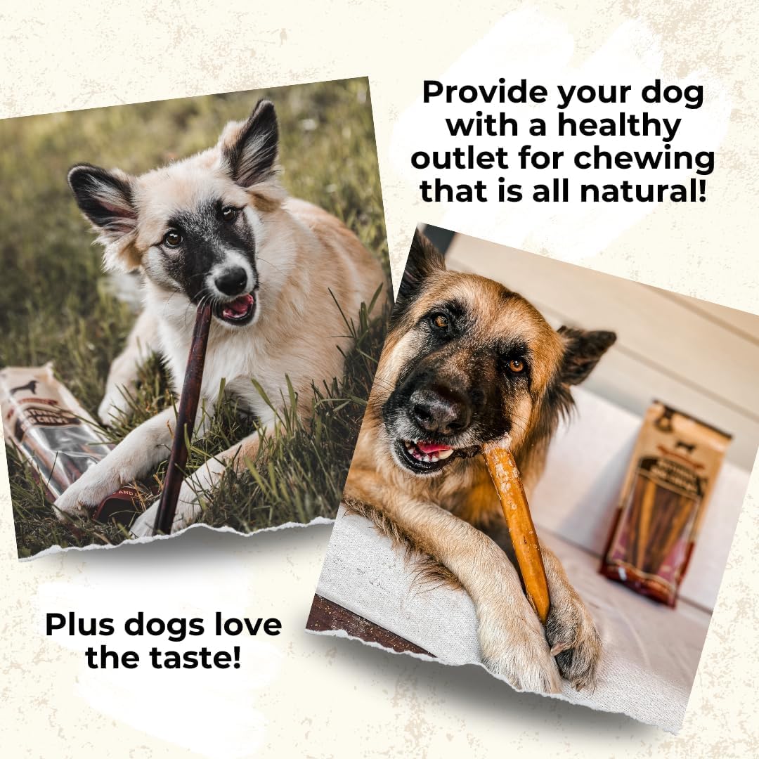 Bully Bunches Premium 6-inch sticks; small-dog friendly chew option.