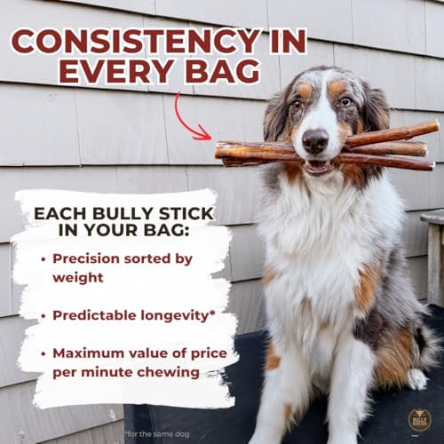 Bully Bunches single-ingredient beef chew supports natural flavor