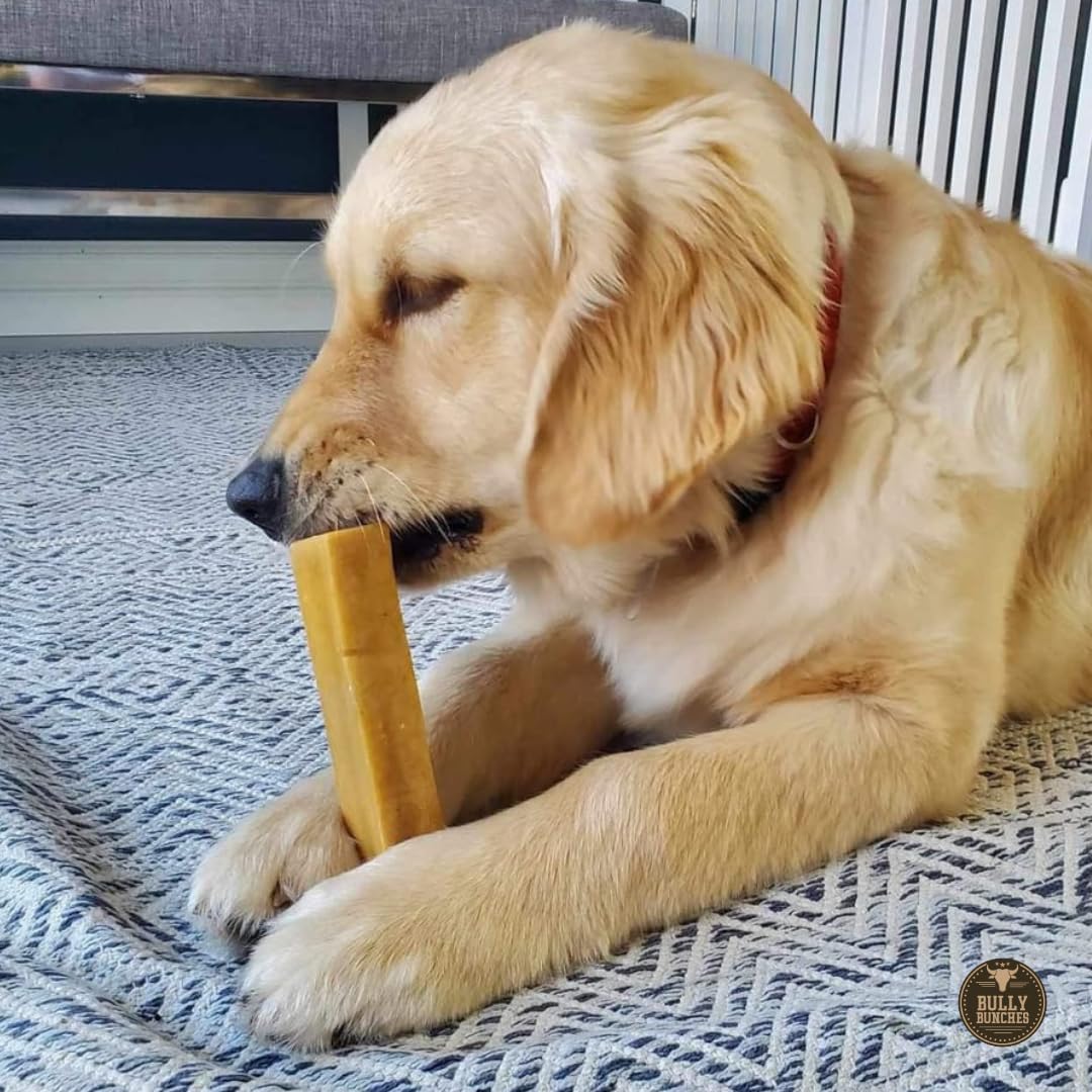 Bully Bunches yak cheese chew texture highlight for hard chewers