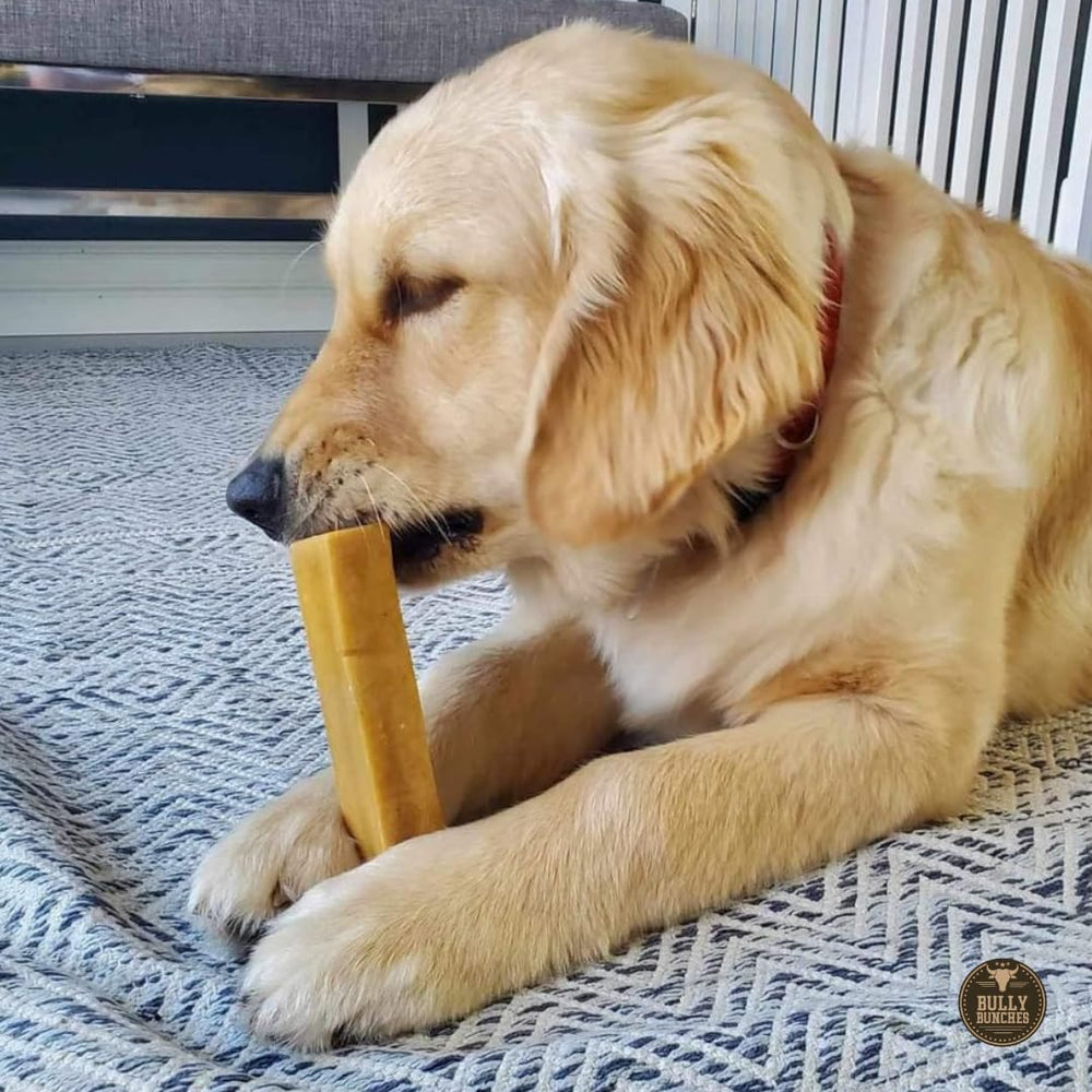 Bully Bunches yak cheese chew texture highlight for hard chewers