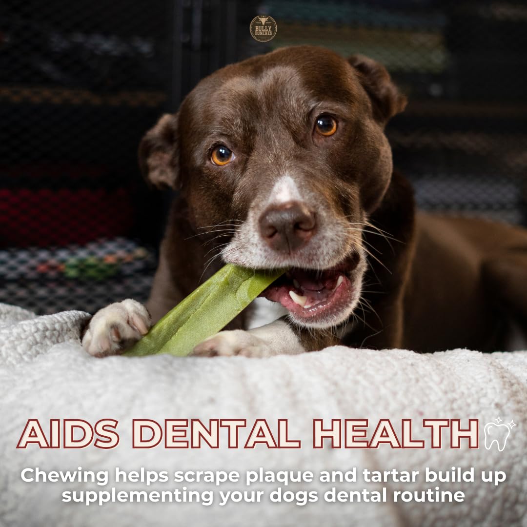 Bully Bunches yak chew 3-pack view shows value for busy households with dogs.