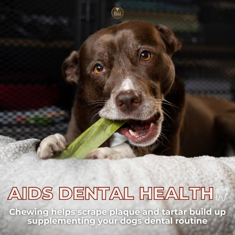 Bully Bunches yak chew 3-pack view shows value for busy households with dogs.