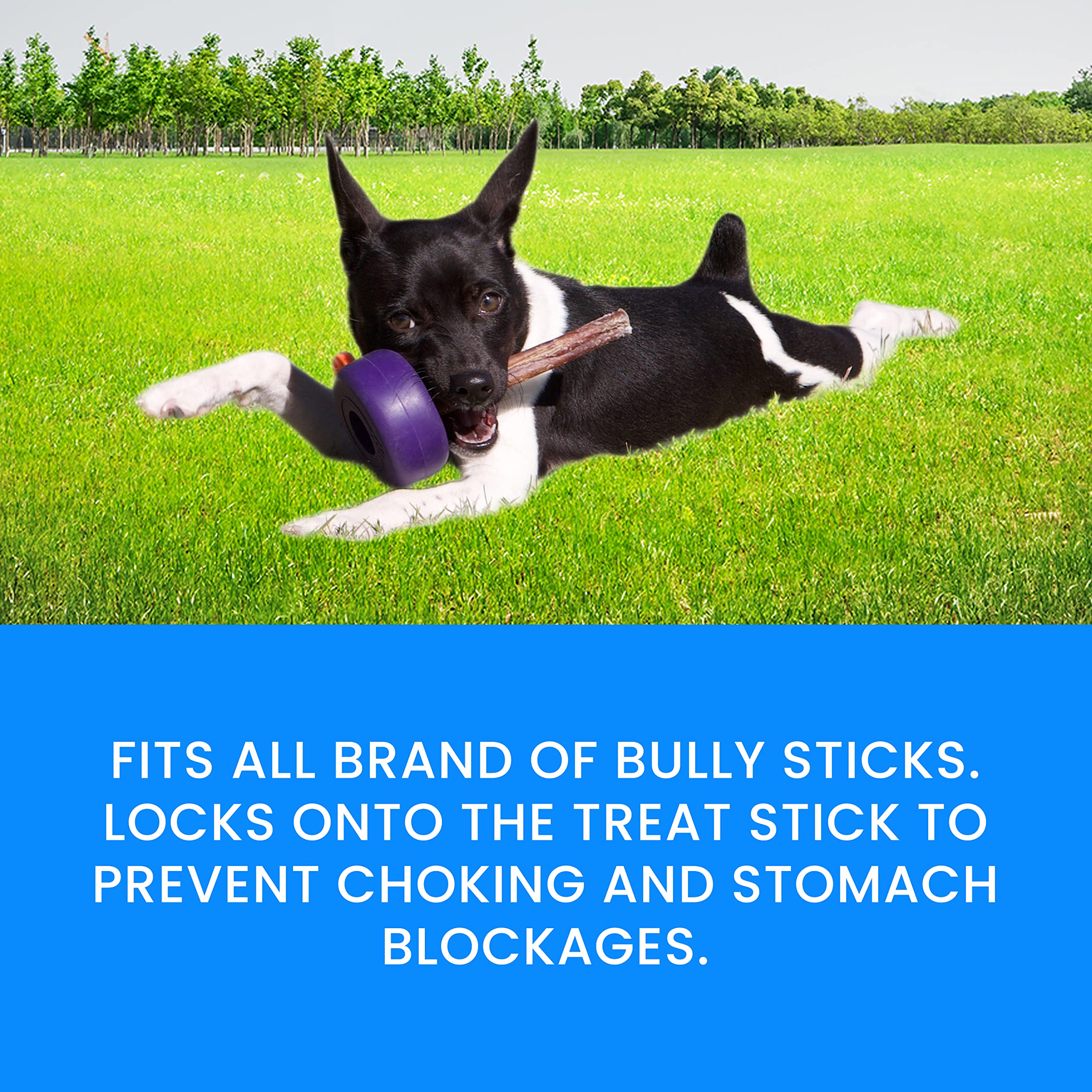 BullyGrip one-size-fits-all design for small to large dogs.