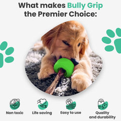 Bully Grip safety design illustrates safer chewing during supervised use