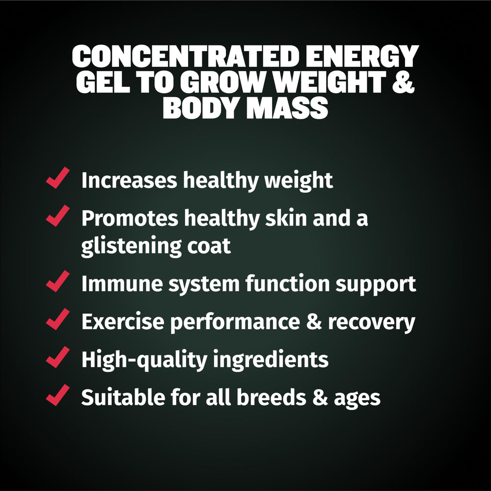 Bully Max 2-in-1 weight gain supplement packaging highlighting dual nutrition benefits.