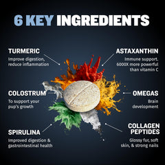 Astaxanthin-rich Bully Max dog tablets supporting vitality and immune balance.
