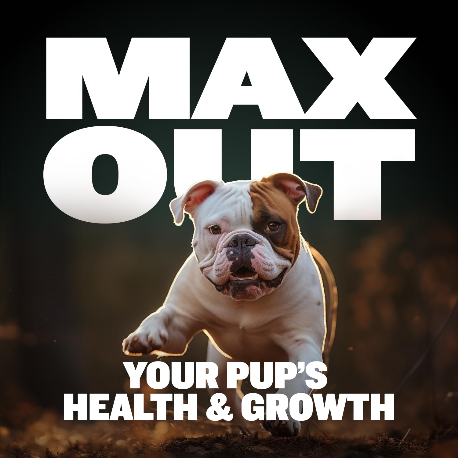 Bully Max Colostrum-rich ingredient featured for added protein and vitality.