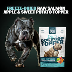 Bully Max salmon topper for adults adds protein and tastiness at meals.