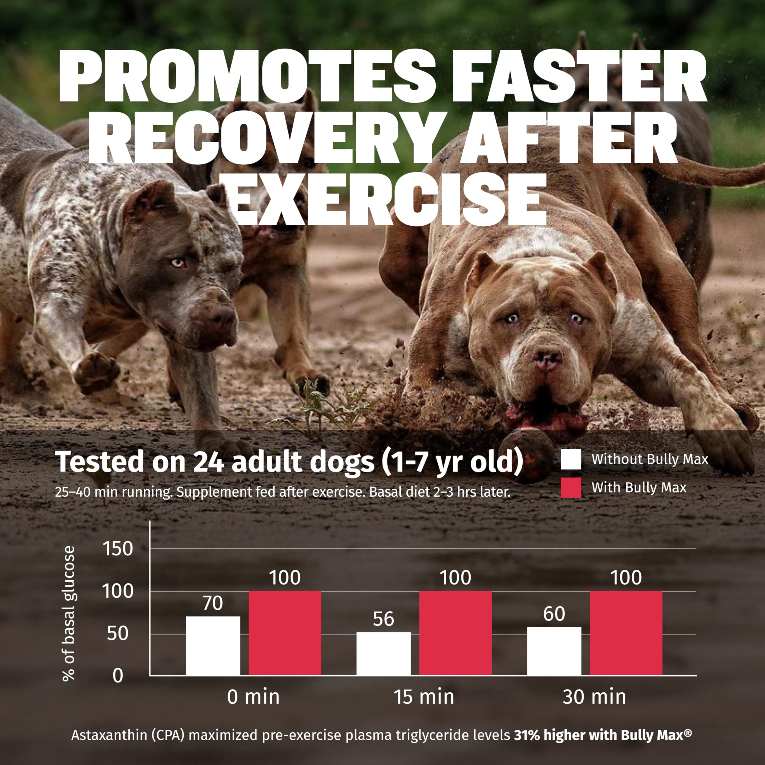 Bully Max topper on kibble improves mealtime nutrition