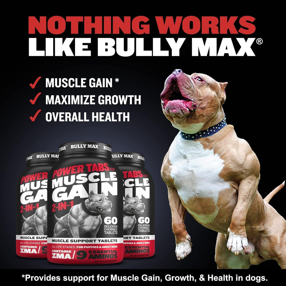 Bully Max Power Tabs dog chew tablets in action, promoting muscle gain and endurance.