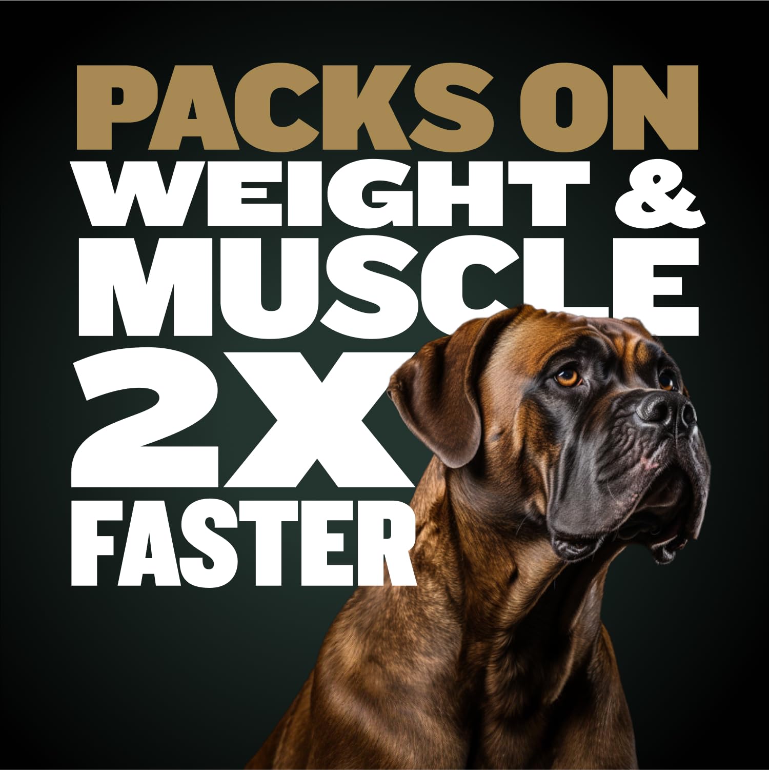 Bully Max Pro 2X slow-cooked kibble texture closeup