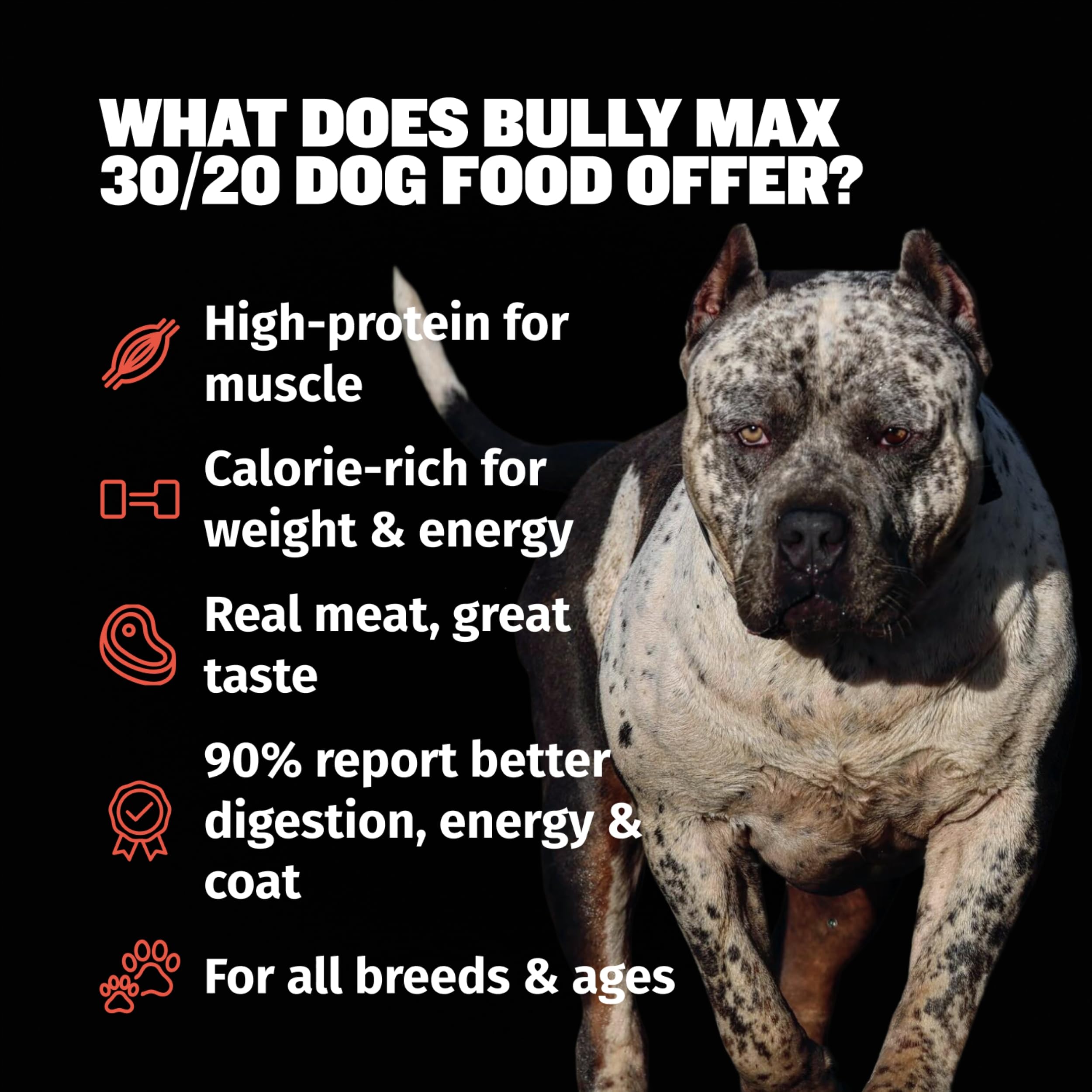 Bully Max probiotics and inulin support digestive balance.