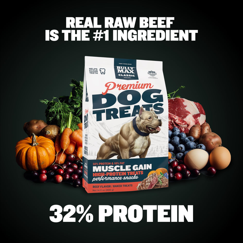 Puppy and adult dogs using Bully Max training treats in a scene