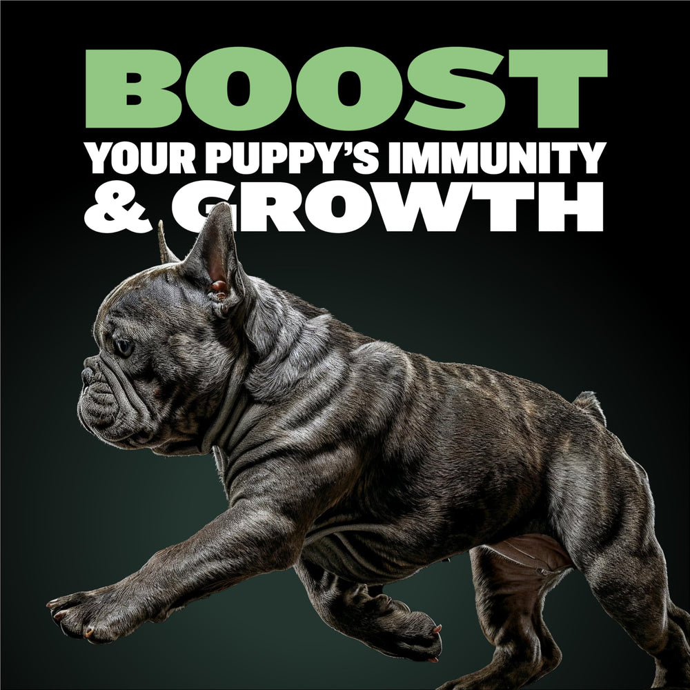 Bully Max Puppy Food label nutrition panel shows growth-focused ingredients.