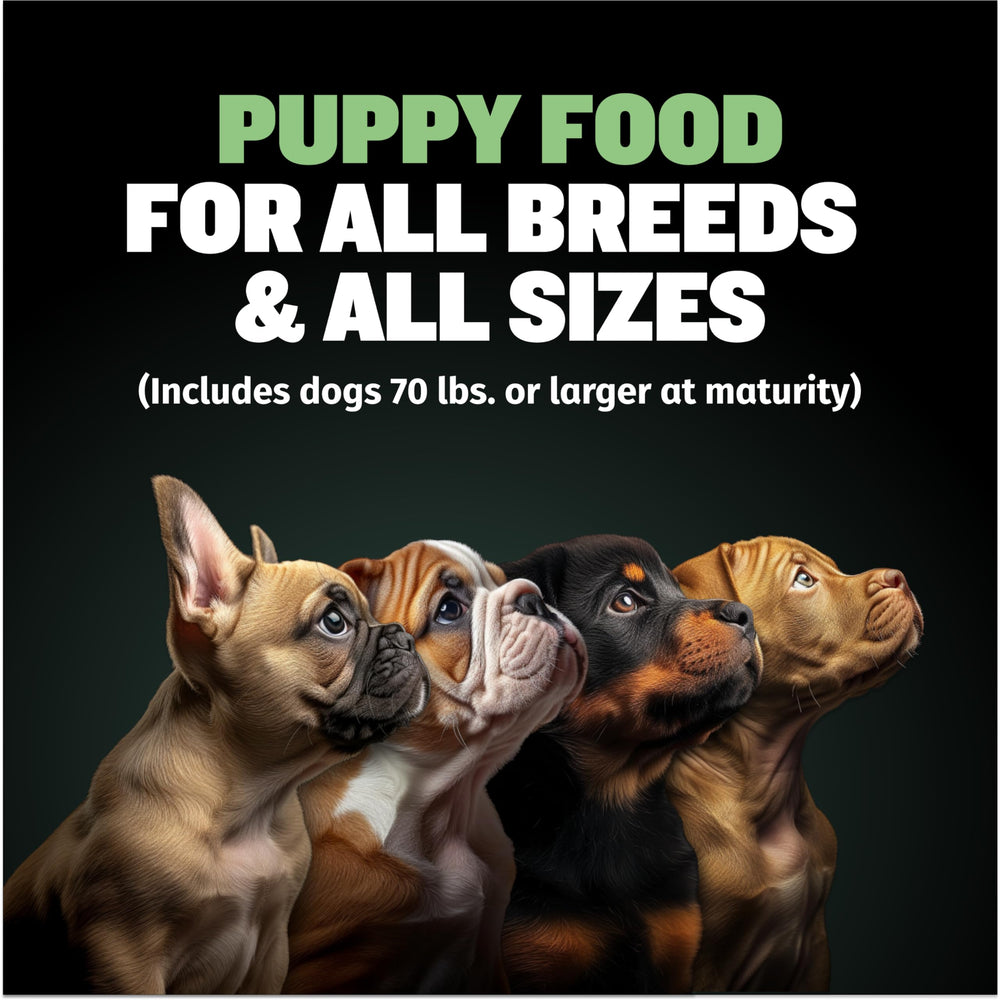 Bully Max Puppy Food lamb protein close-up emphasizing meat-based nutrition.