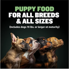 Bully Max Puppy Food lamb protein close-up emphasizing meat-based nutrition.