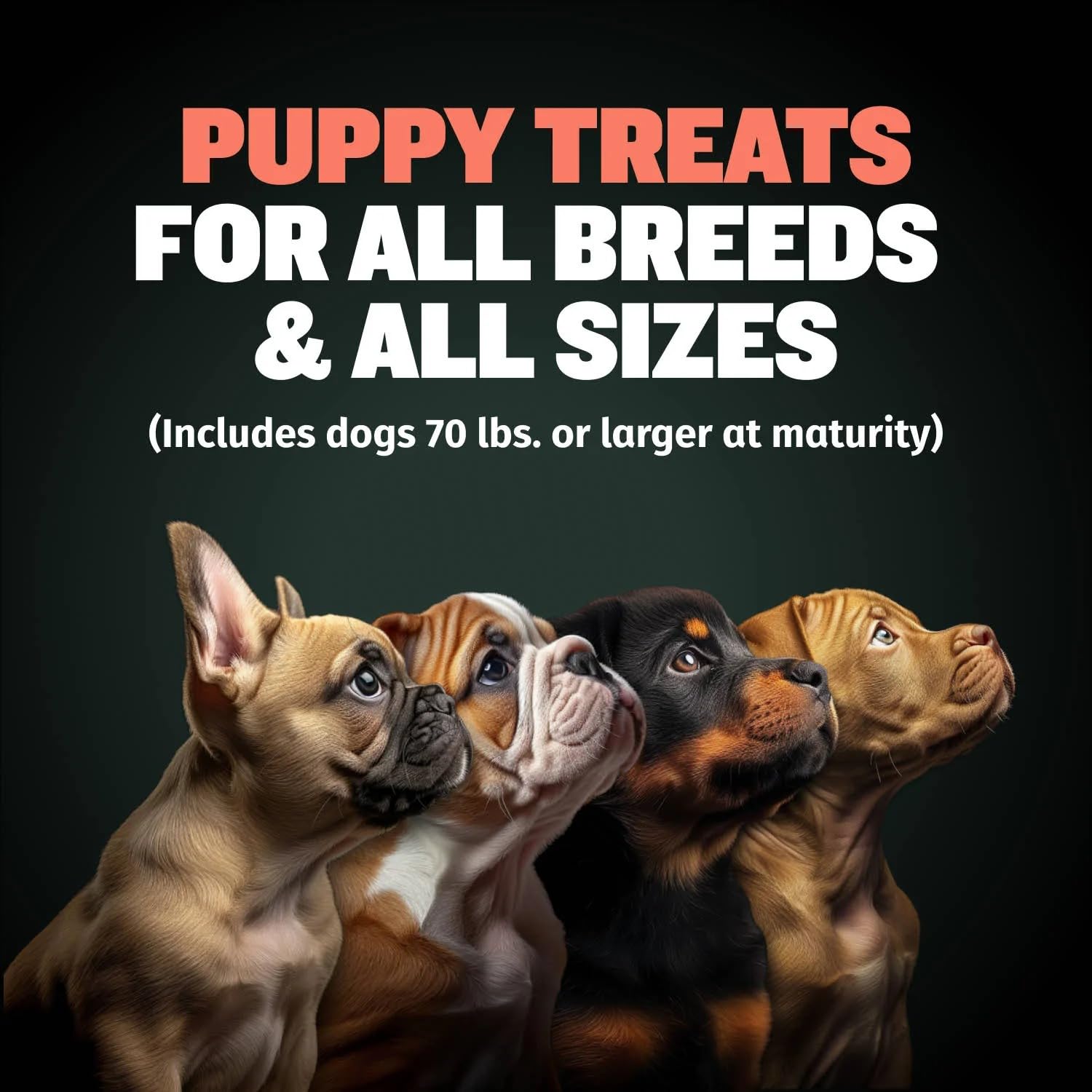 Close-up of the chewy texture for puppies at snack time.