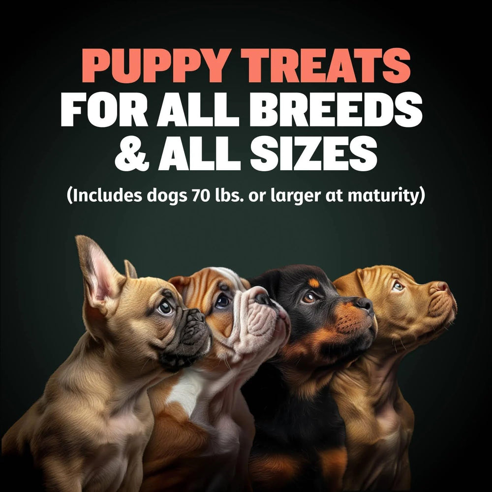 Close-up of the chewy texture for puppies at snack time.