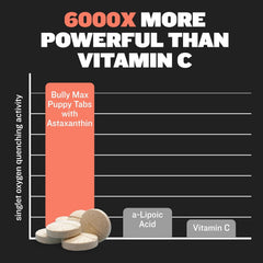 Bully Max Puppy Vitamins ingredients highlight featuring ginger turmeric for digestion and inflammation support