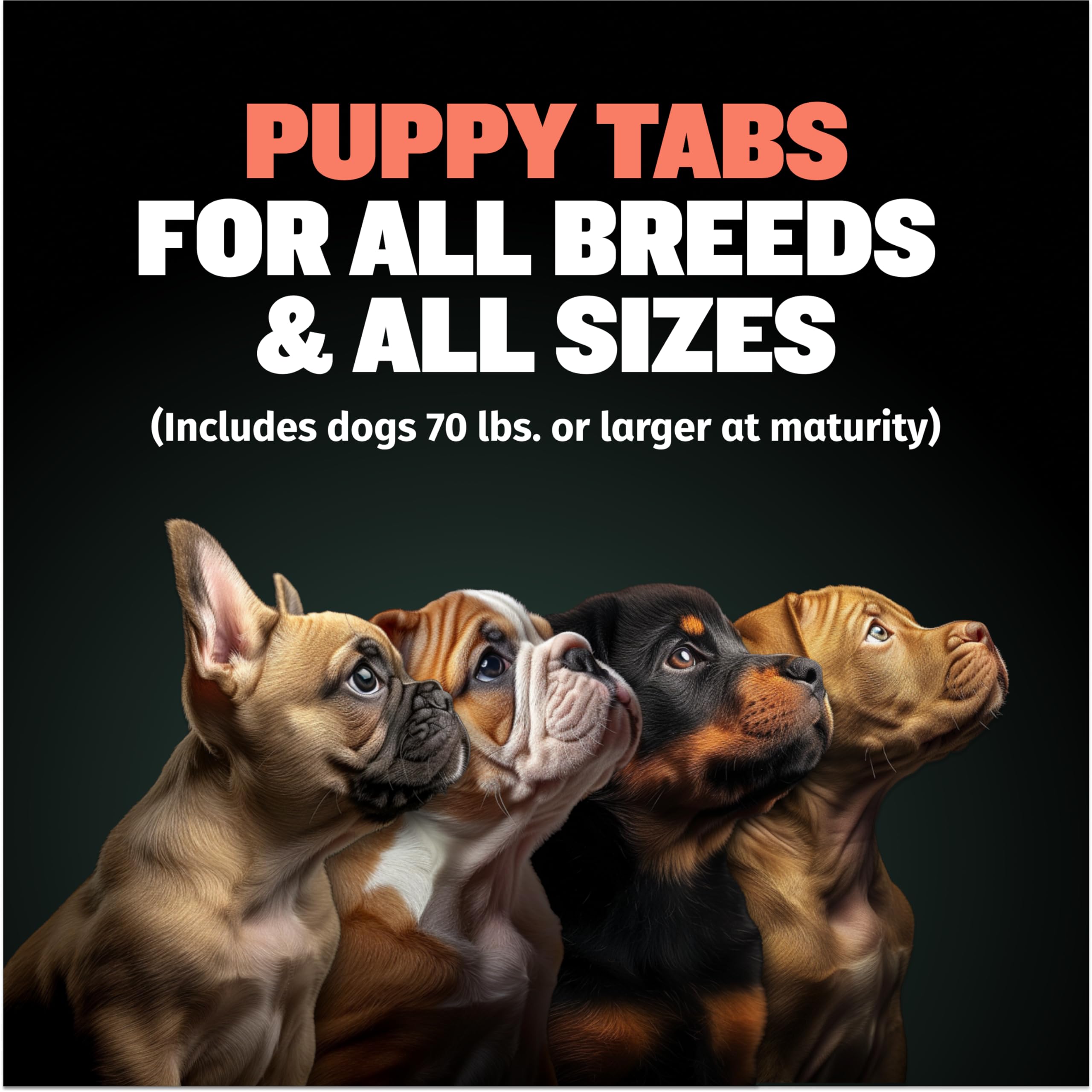 Close-up of Bully Max Puppy Vitamins tablets showing tasty chewables.