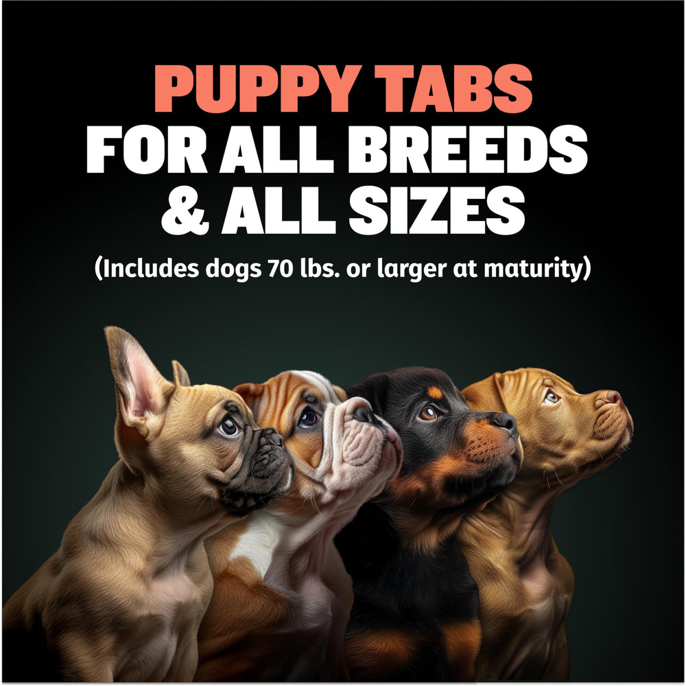 Close-up of Bully Max Puppy Vitamins tablets showing tasty chewables.