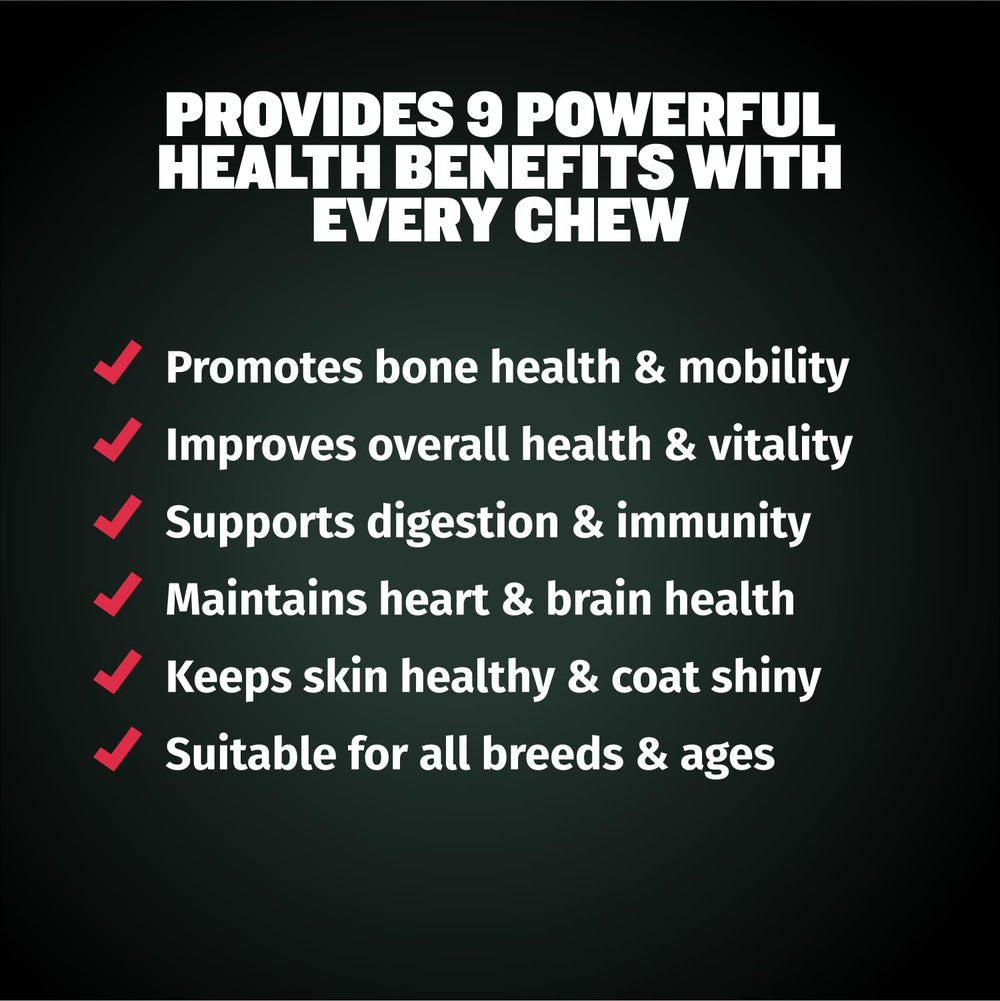 Bully Max skin and coat nutrition with omega nutrients