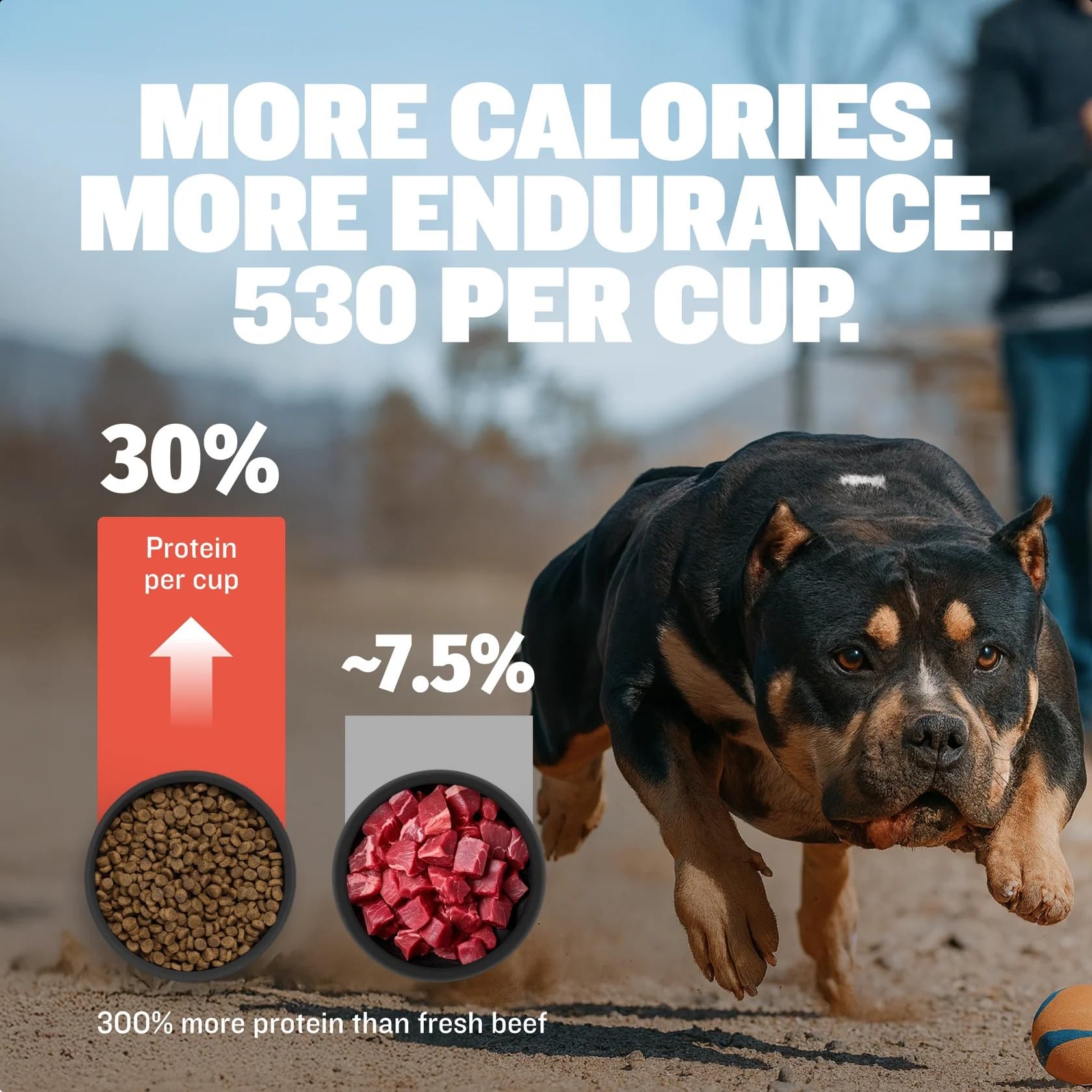 Bully Max superfoods blend with kelp and flaxseed for joints and coat.