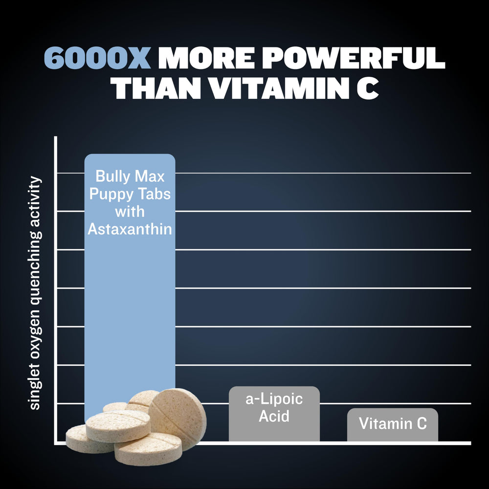 Turmeric-infused Bully Max dog vitamins for natural anti-inflammatory potential.