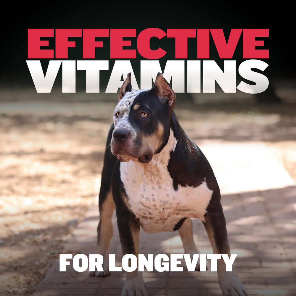 Vet-approved Bully Max dog chews for all sizes