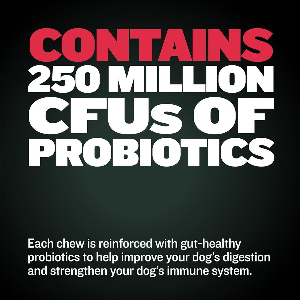 Bully Max Weight Gainer probiotics support digestion and immune health.