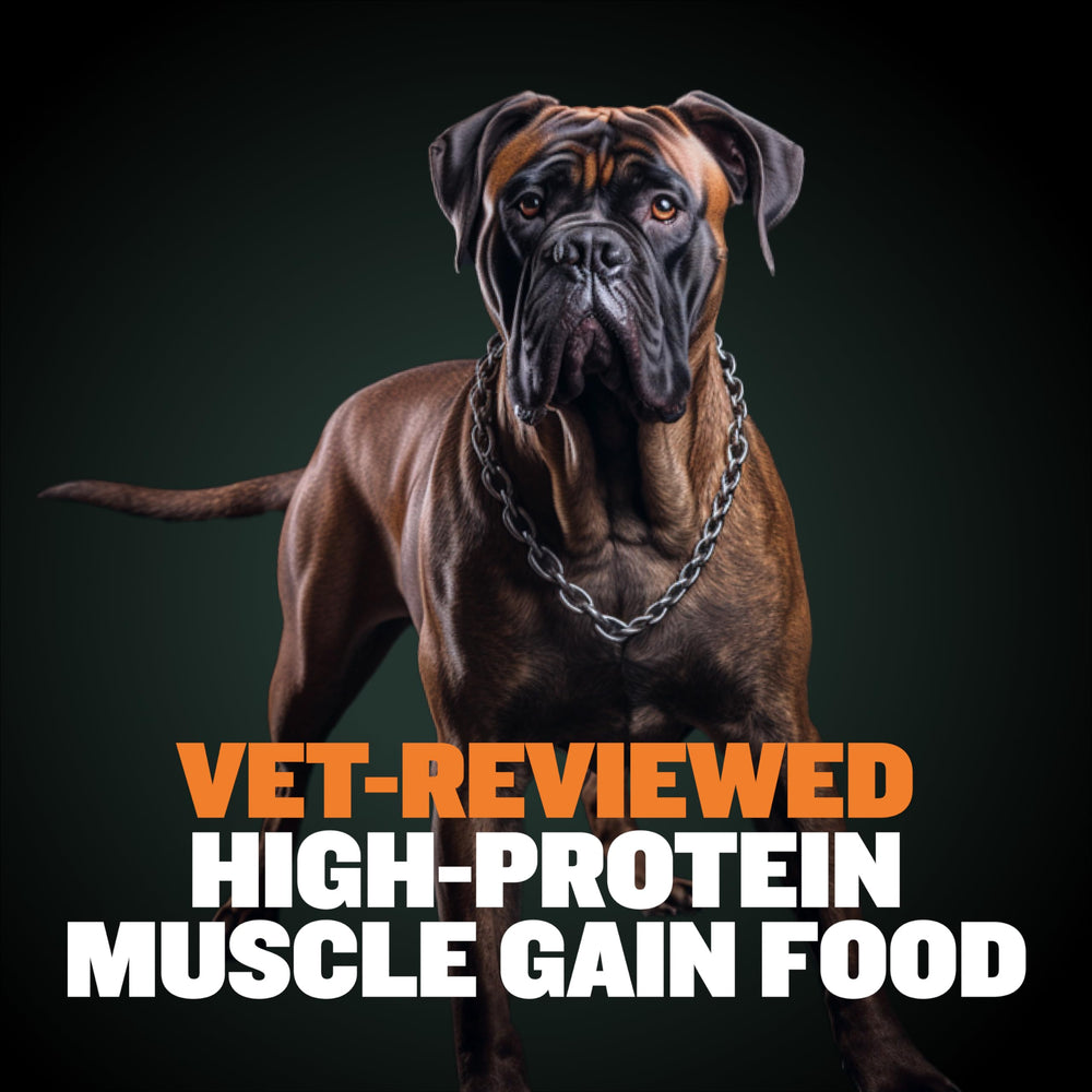Nutrition label view highlighting complete nutrition in Bully Max Wet Puppy Food