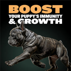 Bully Max Wet Puppy Food dehydrated mix measured before hydration for protein-rich meals.