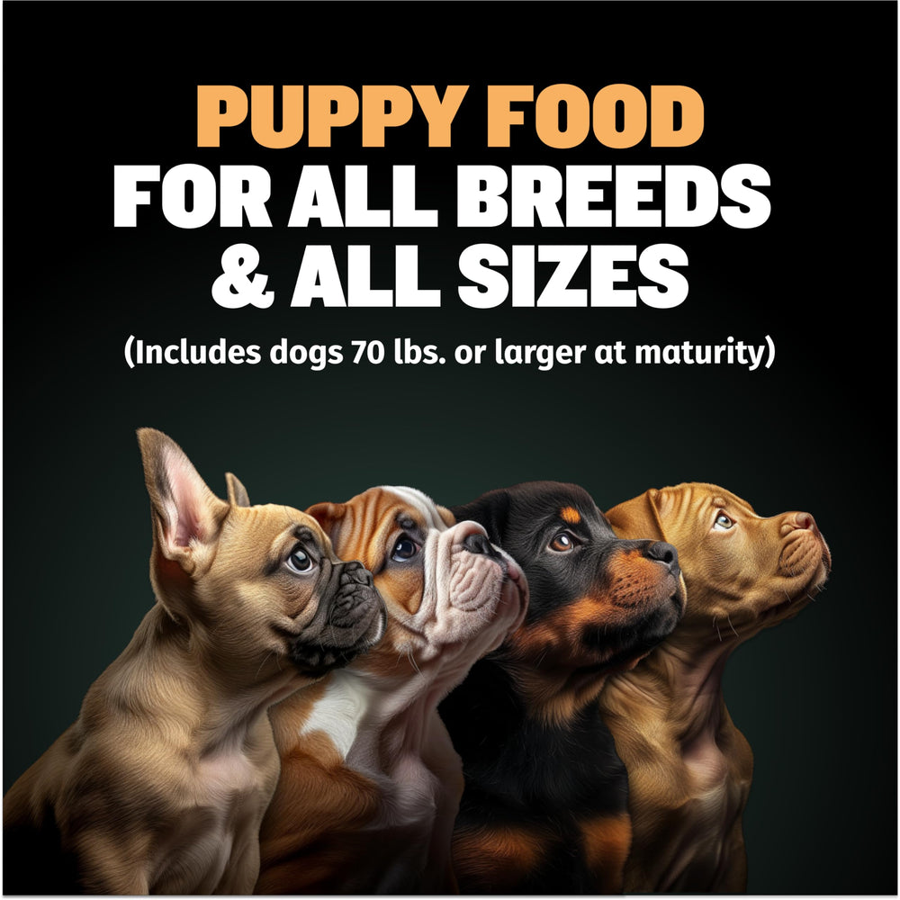 Water being added to Bully Max Wet Puppy Food to create soft wet meals.