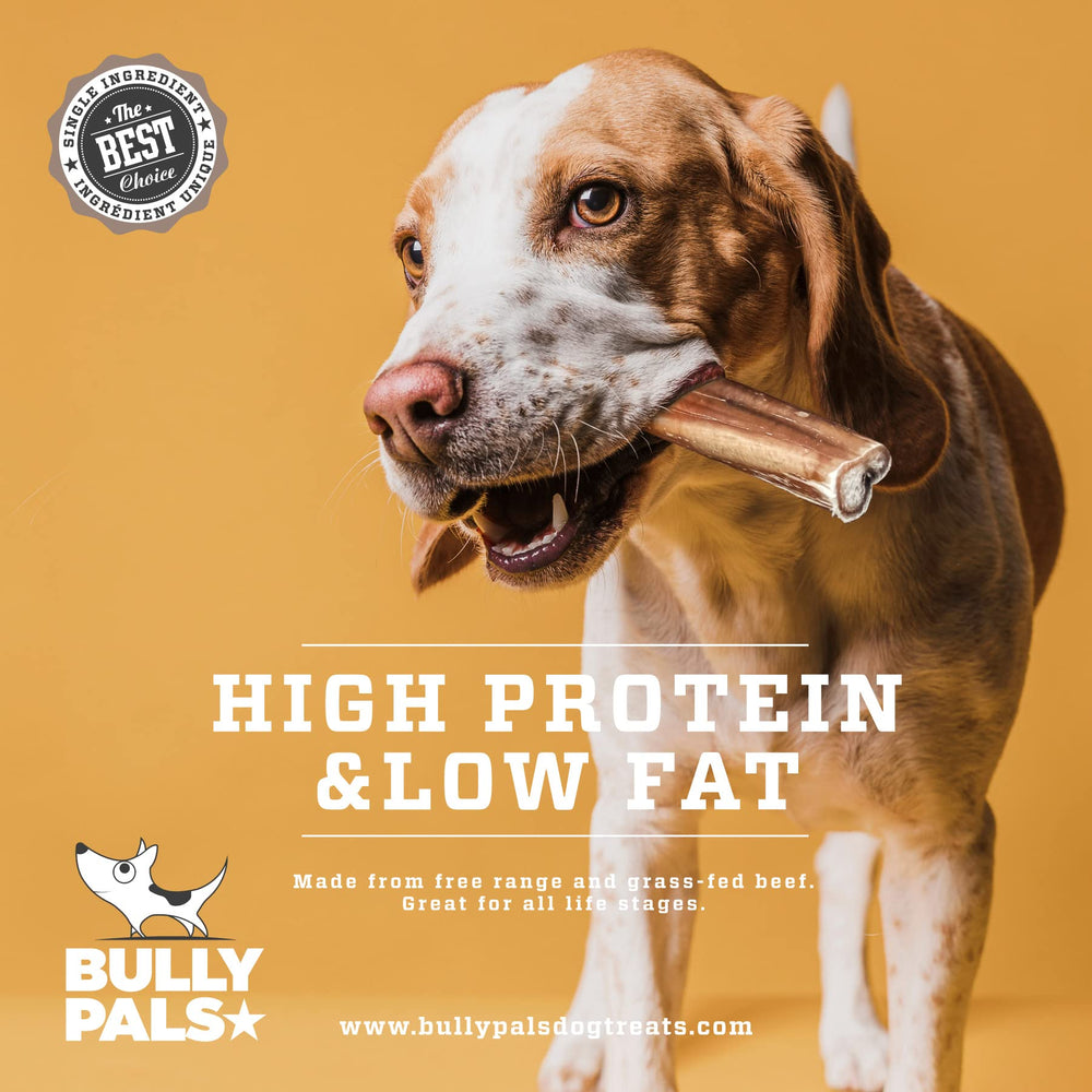 BULLY PALS dental-hygiene action shown during chew routine.