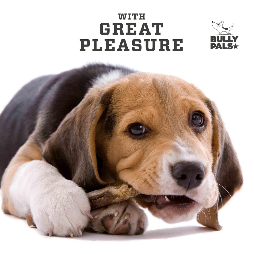 BULLY PALS low-odor drying process reduces home scent.