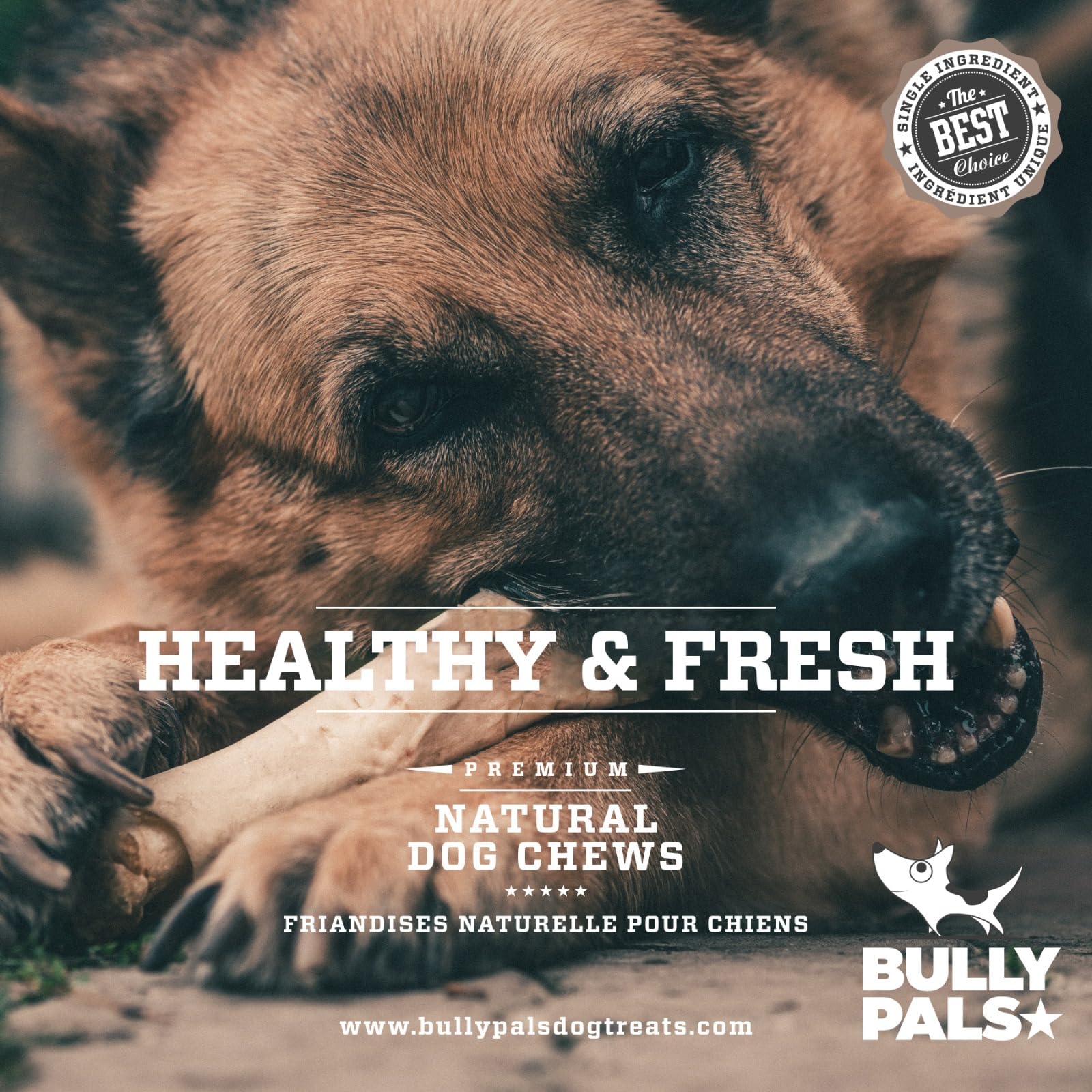 BULLY PALS rawhide-free packaging signals a safer chew option.