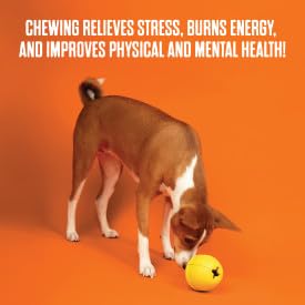 BULLYMAKE power chewer enjoys tug-and-chew action with the toy.
