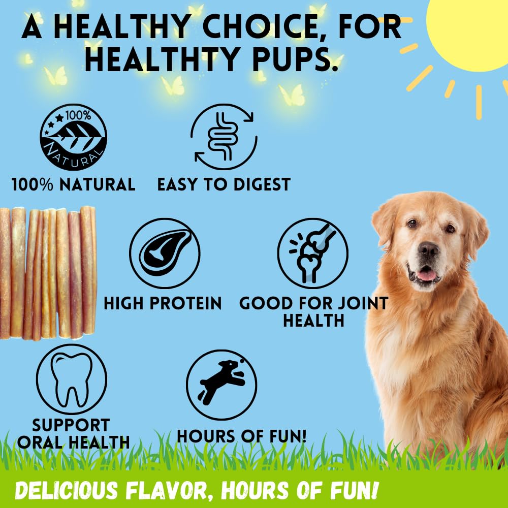 Bullysticks & More dog enjoying chew illustrates engaging playtime and focus.